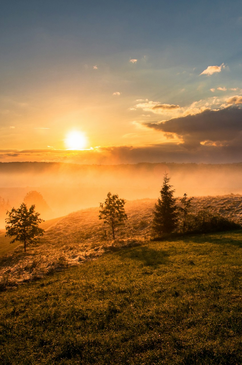 Yanto Irjanto - Applied Kinesionoly